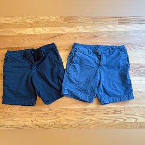 American Eagle Outfitters Flat Front Shorts